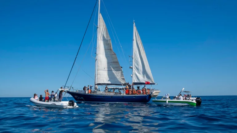 Flotilla 2.0: Now with extra protein bars