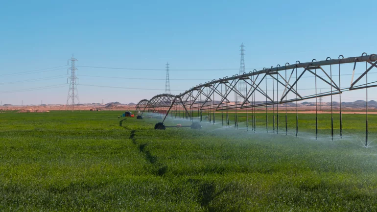 Egypt expands agricultural exports as new markets open worldwide