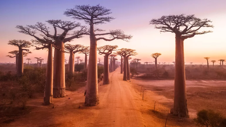 Qatar, Madagascar sign MOU in air transport