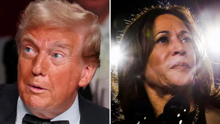 Why we may not know the winner of the US presidential election on Nov. 5